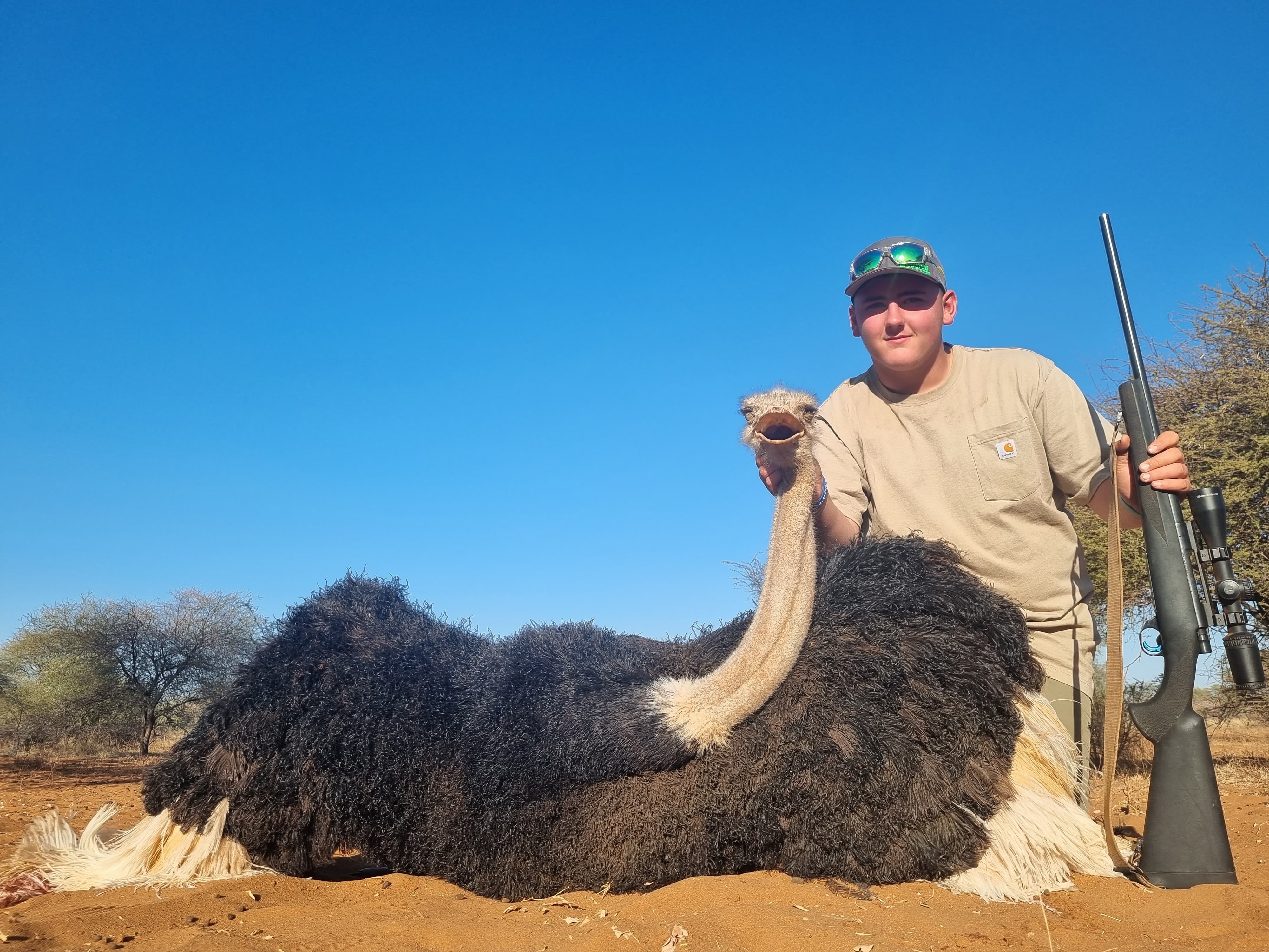Breaden Flaig Ostrich