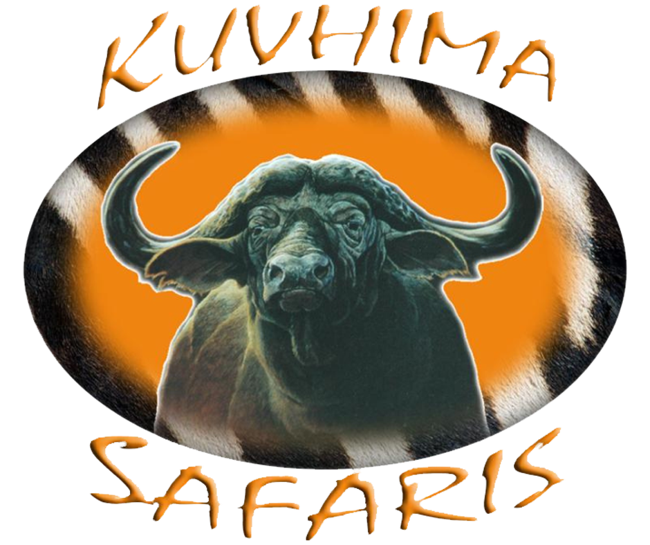 Kuvhima Safaris