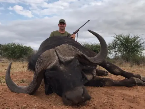Cape Buffalo trophy photographed at Kuvhima Safaris, Limpopo.