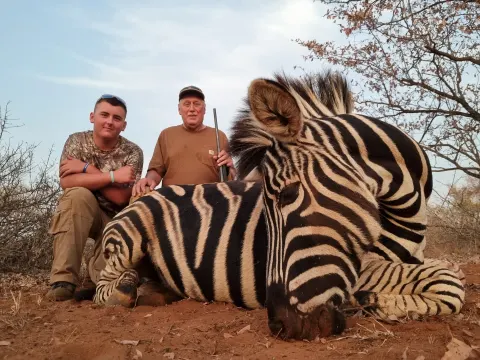 Burchell's Zebra trophy photographed at Kuvhima Safaris, Limpopo.