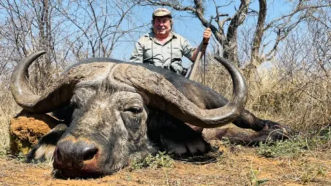 Cape Buffalo trophy photographed at Kuvhima Safaris, Limpopo.