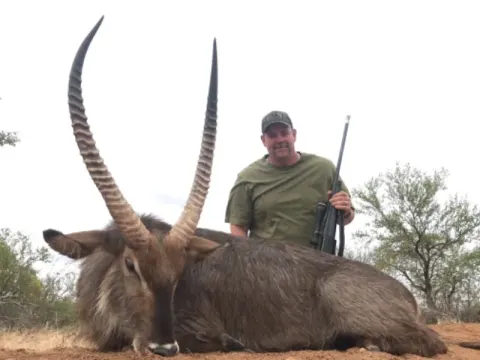 Waterbuck trophy photographed at Kuvhima Safaris, Limpopo.