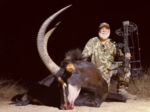 Sable Antelope trophy photographed at Kuvhima Safaris, Limpopo.