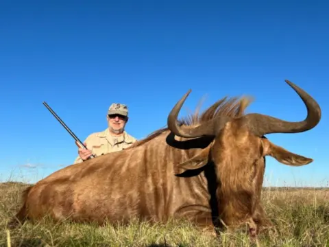 Golden Wildebeest trophy photographed at Kuvhima Safaris, Limpopo.