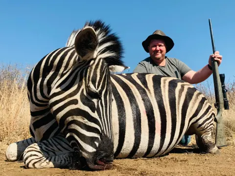 Burchell's Zebra trophy photographed at Kuvhima Safaris, Limpopo.