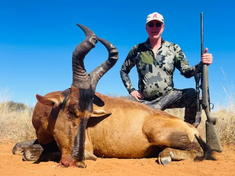 Red Hartebeest trophy photographed at Kuvhima Safaris, Limpopo.