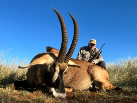Roan Antelope trophy photographed at Kuvhima Safaris, Limpopo.