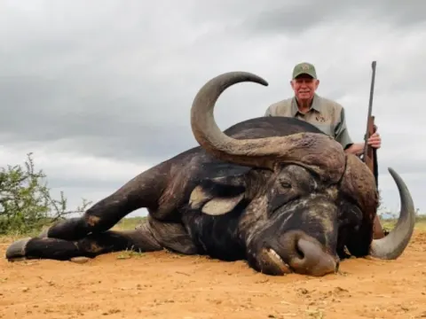Cape Buffalo trophy photographed at Kuvhima Safaris, Limpopo.