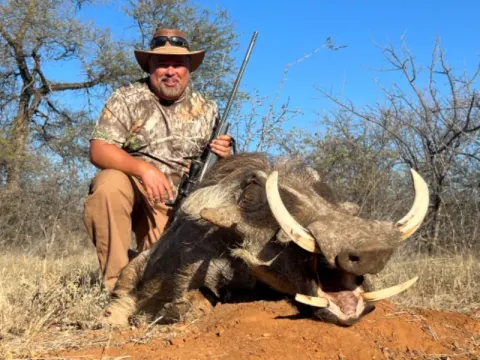Warthog trophy photographed at Kuvhima Safaris, Limpopo.