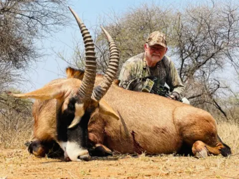 Roan Antelope trophy photographed at Kuvhima Safaris, Limpopo.