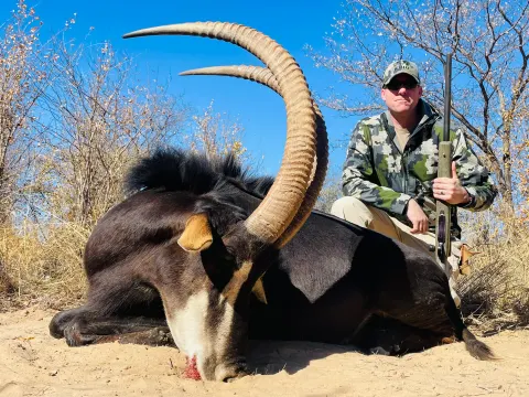 Sable Antelope trophy photographed at Kuvhima Safaris, Limpopo.