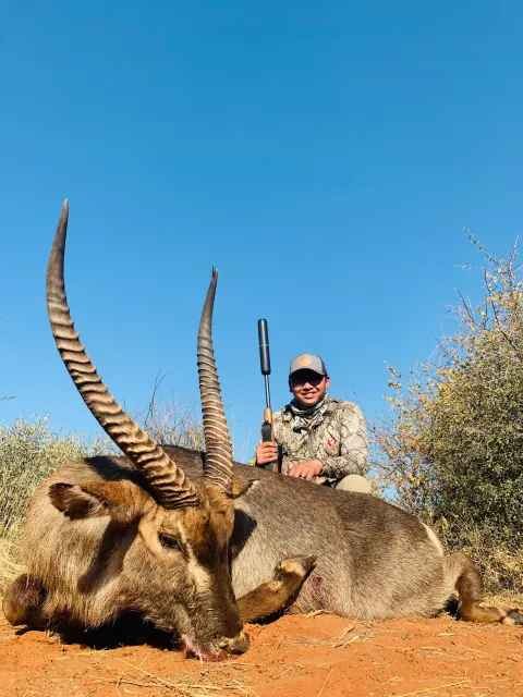 Waterbuck trophy photographed at Kuvhima Safaris, Limpopo.