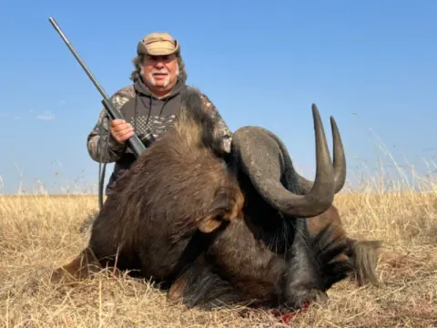 Black Wildebeest trophy photographed at Kuvhima Safaris, Limpopo.