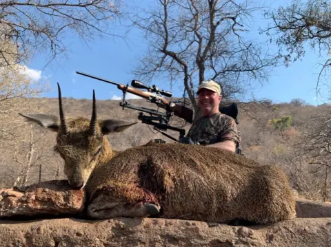Klipspringer trophy photographed at Kuvhima Safaris, Limpopo.
