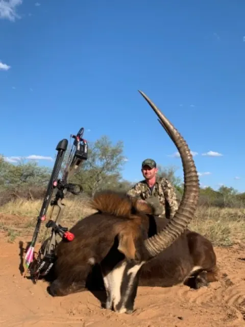 Sable Antelope trophy photographed at Kuvhima Safaris, Limpopo.