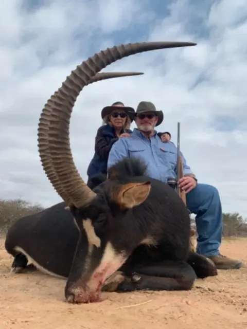 Sable Antelope trophy photographed at Kuvhima Safaris, Limpopo.