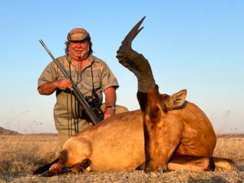 Red Hartebeest trophy photographed at Kuvhima Safaris, Limpopo.