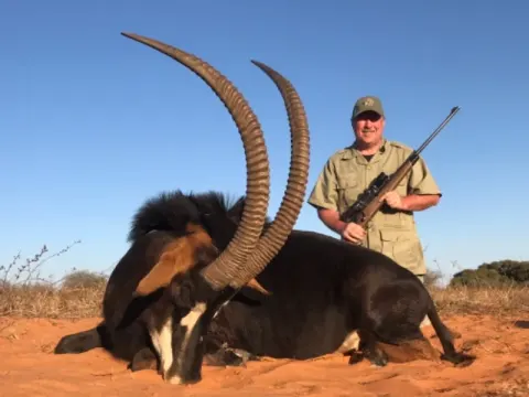 Sable Antelope trophy photographed at Kuvhima Safaris, Limpopo.