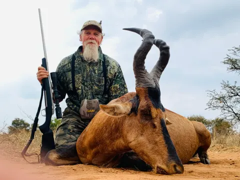 Red Hartebeest trophy photographed at Kuvhima Safaris, Limpopo.