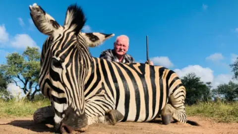 Burchell's Zebra trophy photographed at Kuvhima Safaris, Limpopo.